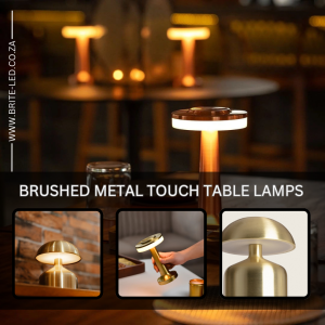Rechargeable Brushed Metal Table Lamp 