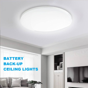 220V BATTERY BACK-UP CEILING LIGHT